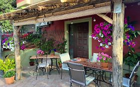 B&B Domus Vista